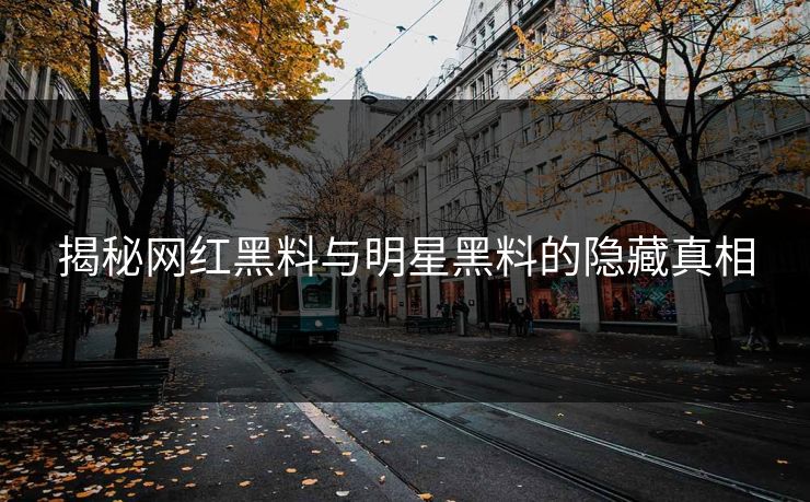 揭秘网红黑料与明星黑料的隐藏真相 揭秘网红黑料与明星黑料的隐藏真相
