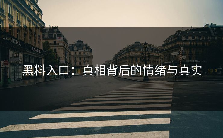 黑料入口:真相背后的情绪与真实 黑料入口:真相背后的情绪与真实