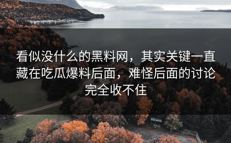 看似没什么的黑料网，其实关键一直藏在吃瓜爆料后面，难怪后面的讨论完全收不住